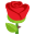 :rose: