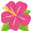 :hibiscus: