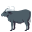 :water_buffalo: