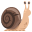 :snail: