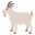 :goat: