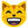 :smile_cat: