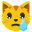 :crying_cat_face: