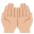 :palms_up_together_tone2: