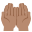 :palms_up_together_tone3: