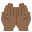 :palms_up_together_tone4: