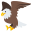 :eagle: