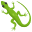 :lizard: